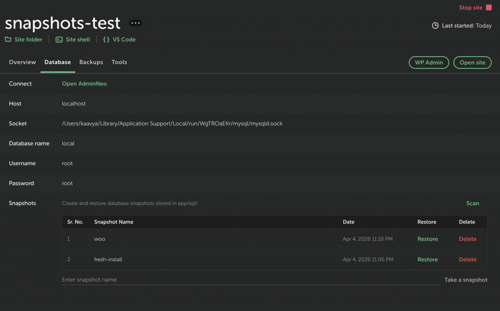 UI of the Database Snapshots tool in Local by Flywheel.